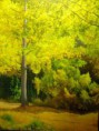 Llego el Otoño